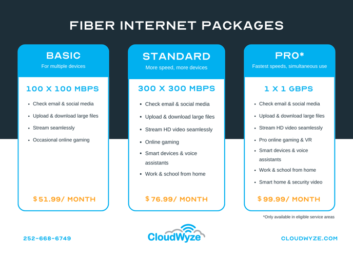 Fiber Internet Packages and Pricing Oct 2023